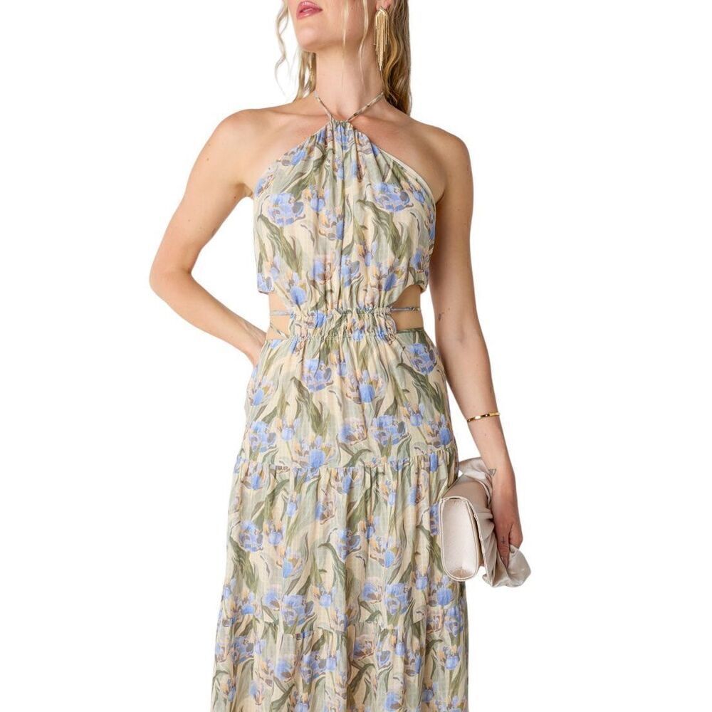 NWT Madi Floral A-Line Maxi Dress Medium